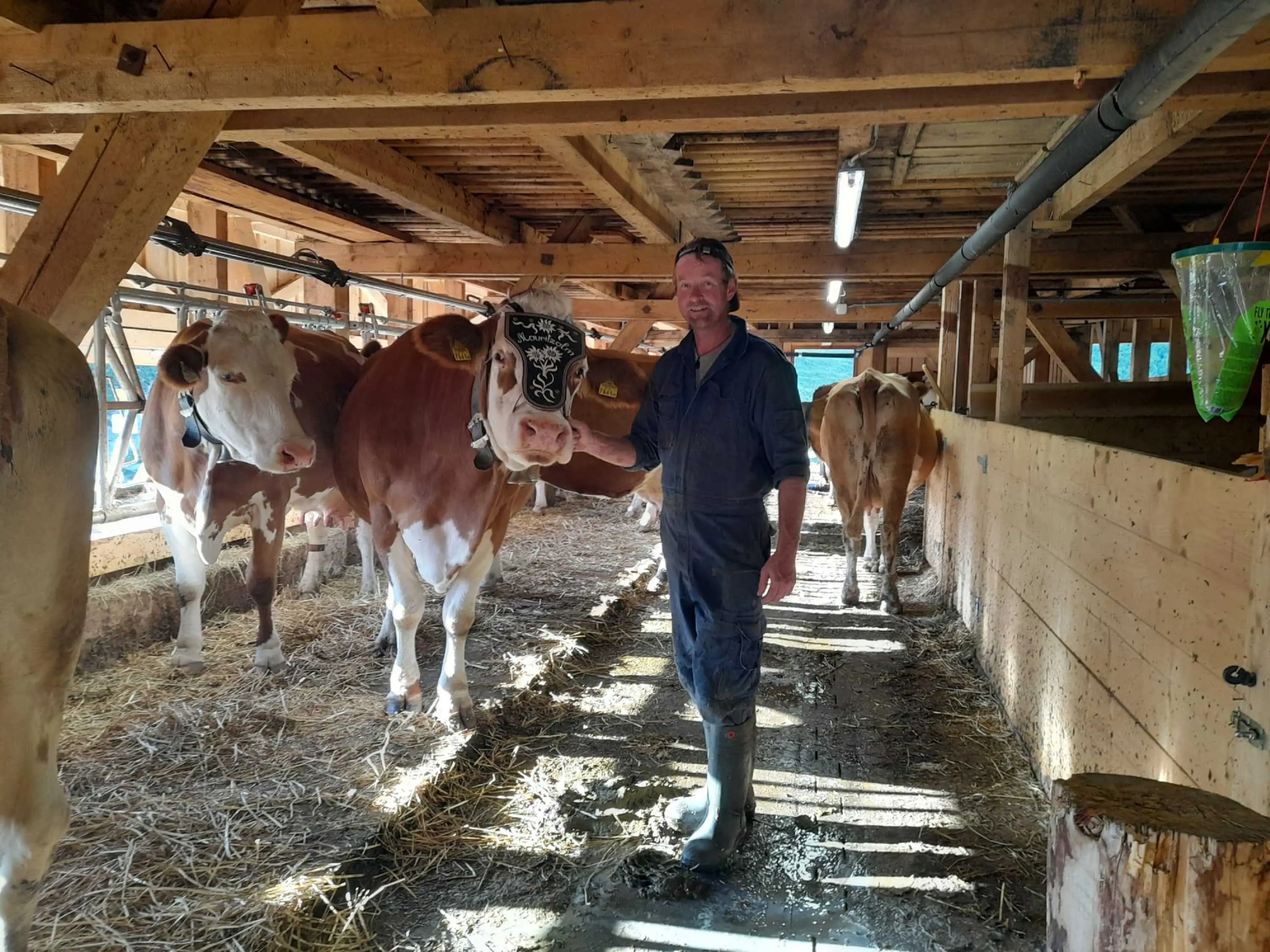 Stallführung Erfurter Hütte
