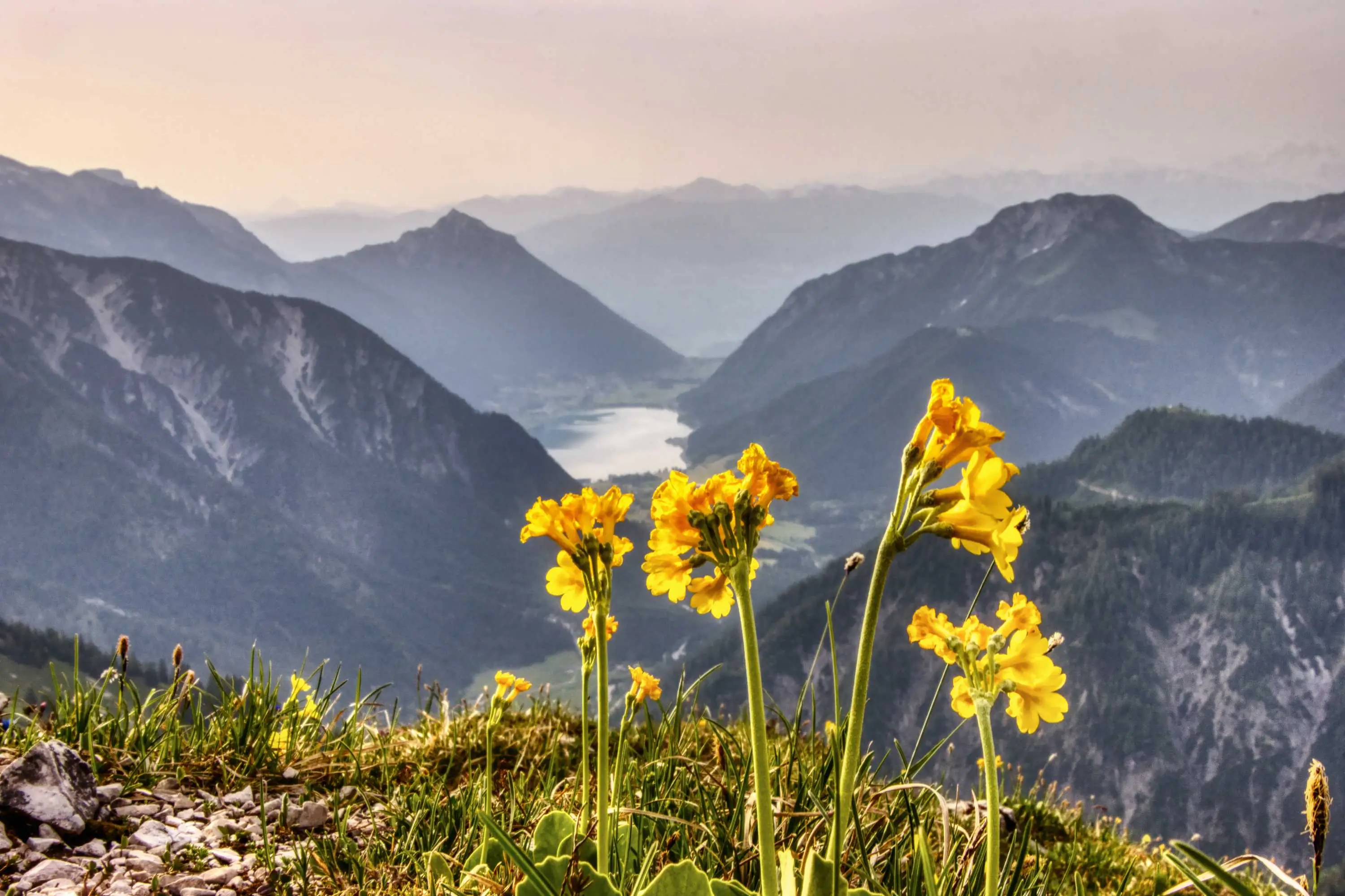 Almführungen bei der Erfurter Hütte