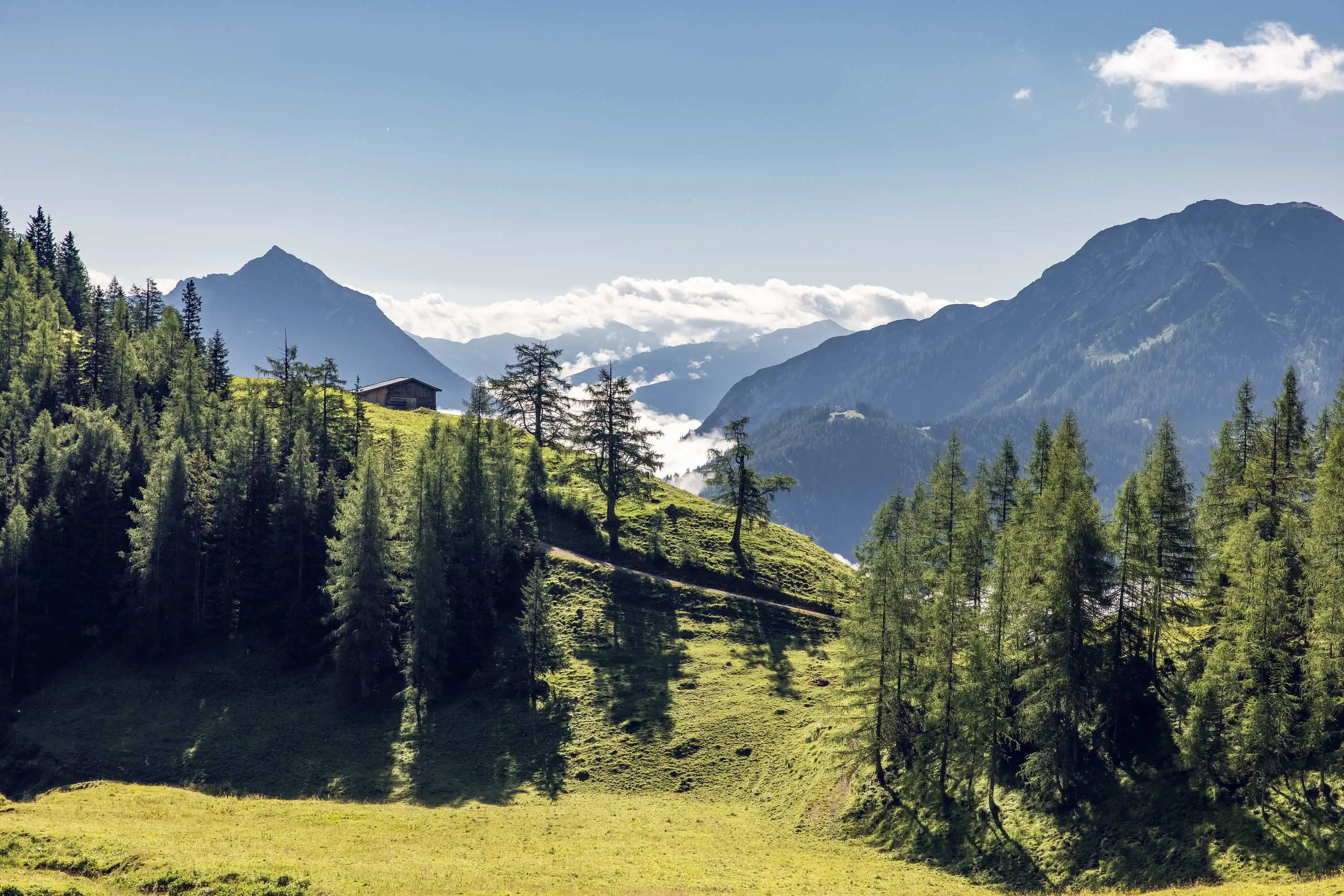 Erfurter Hütte & Mauritz Alm